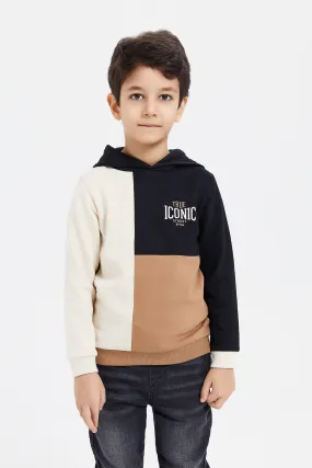 Boys Multicolour Colour Block Hooded Sweatshirt