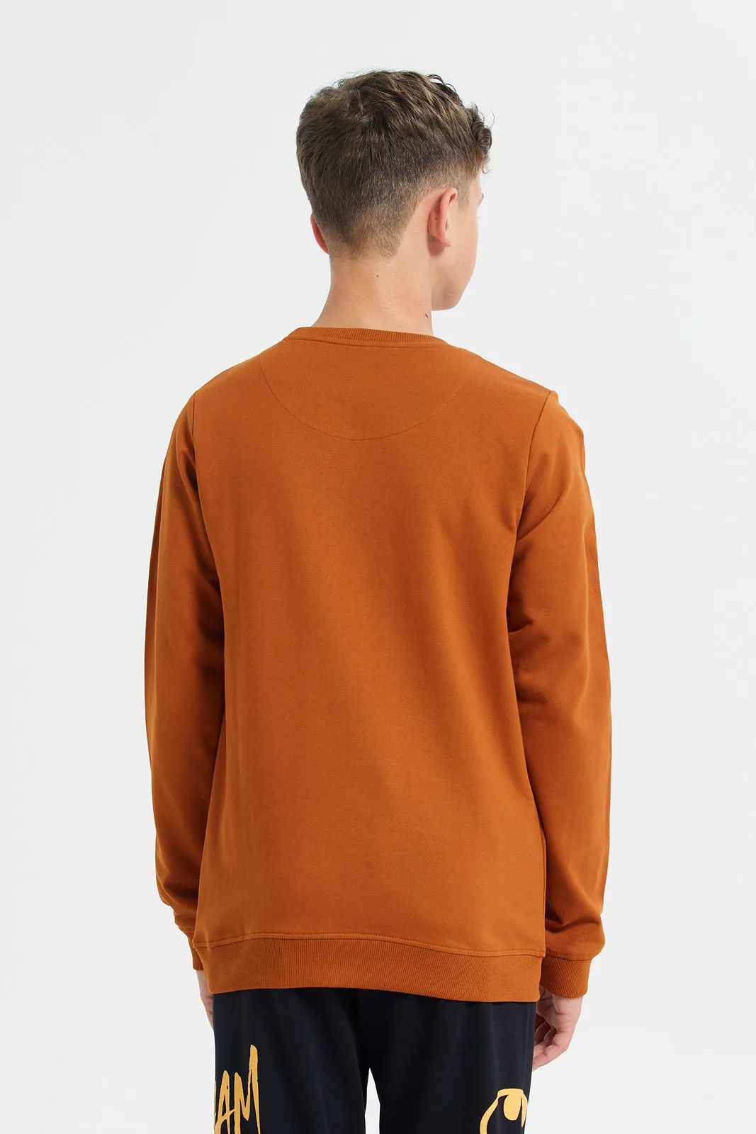 Brown Graphic Sweatshirt