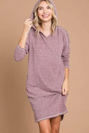 Culture Code Hooded Long Sleeve Sweater Dress