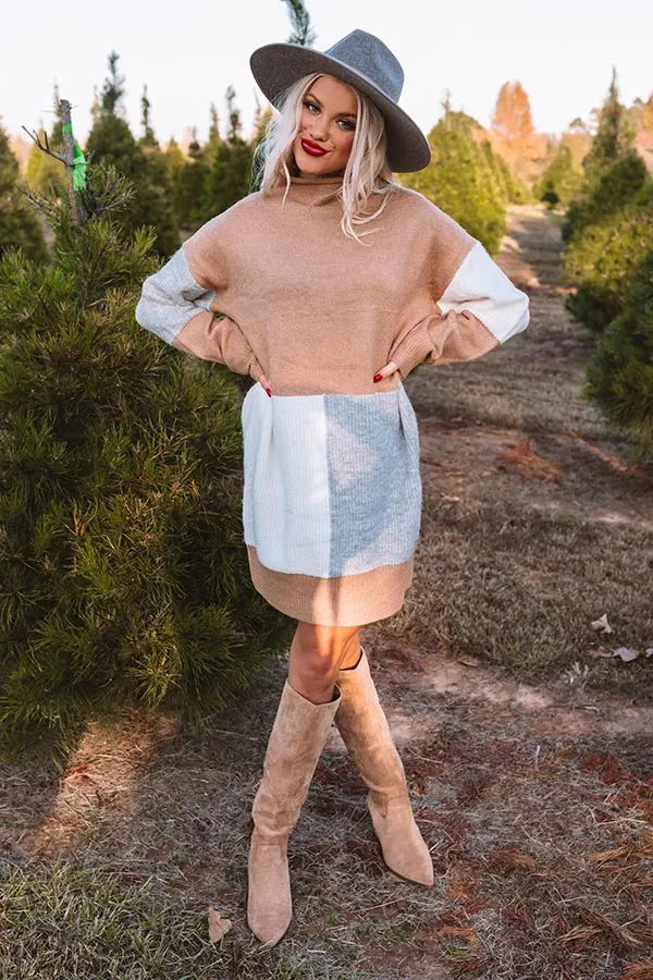 Hello, Harvard Colorblock Sweater Dress In Iced Latte