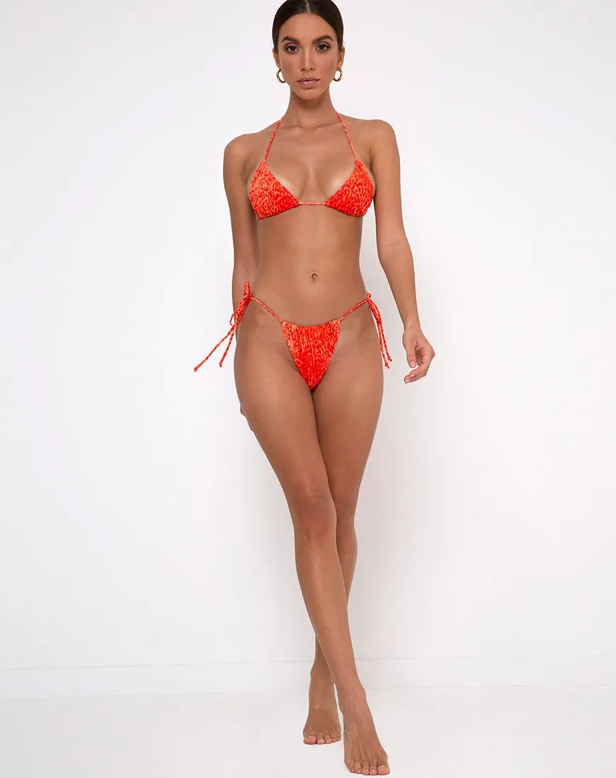 Leyna Bikini Bottoms in Sand Leopard Orange