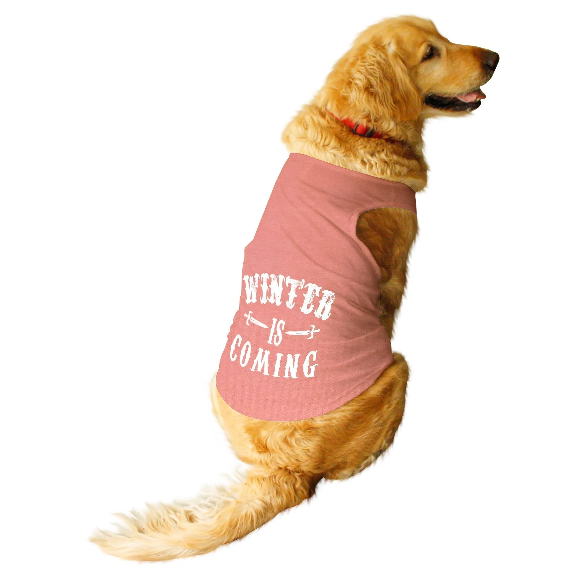 "Winter is Coming" Dog Tee