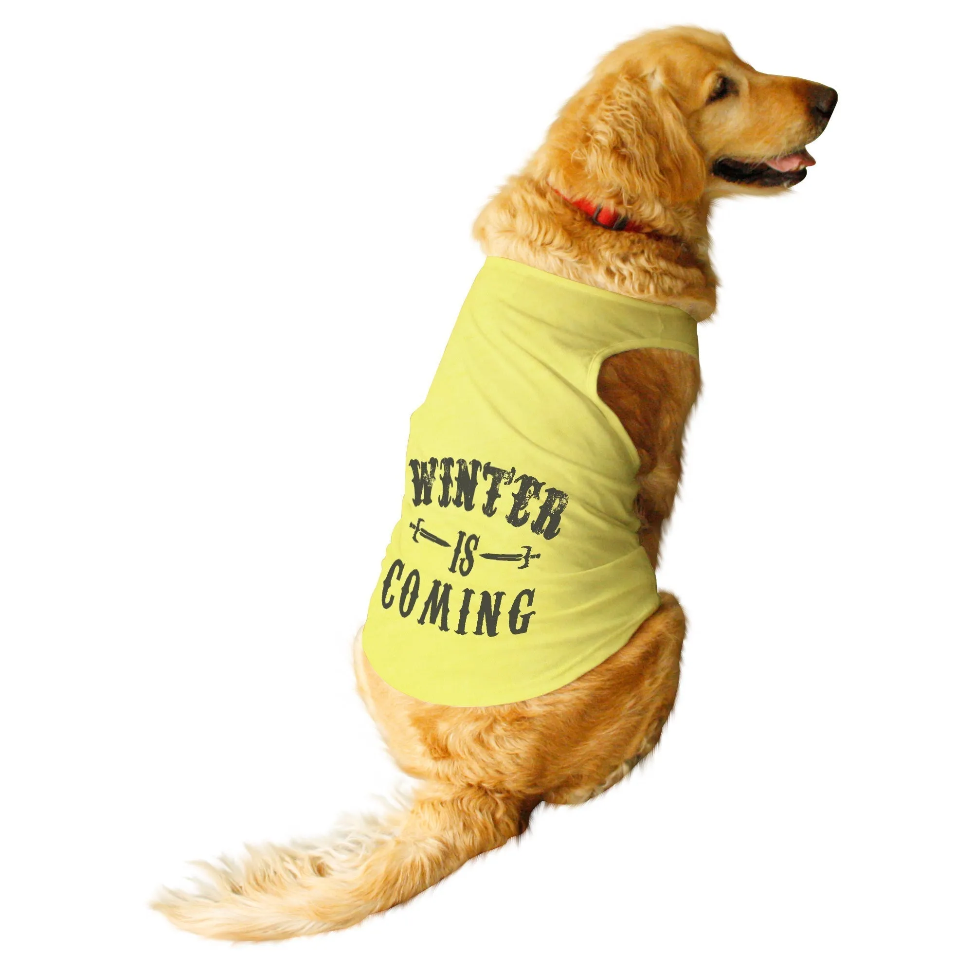 "Winter is Coming" Dog Tee