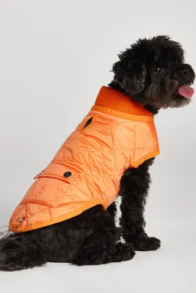 Romeo Quilted Dog Coat