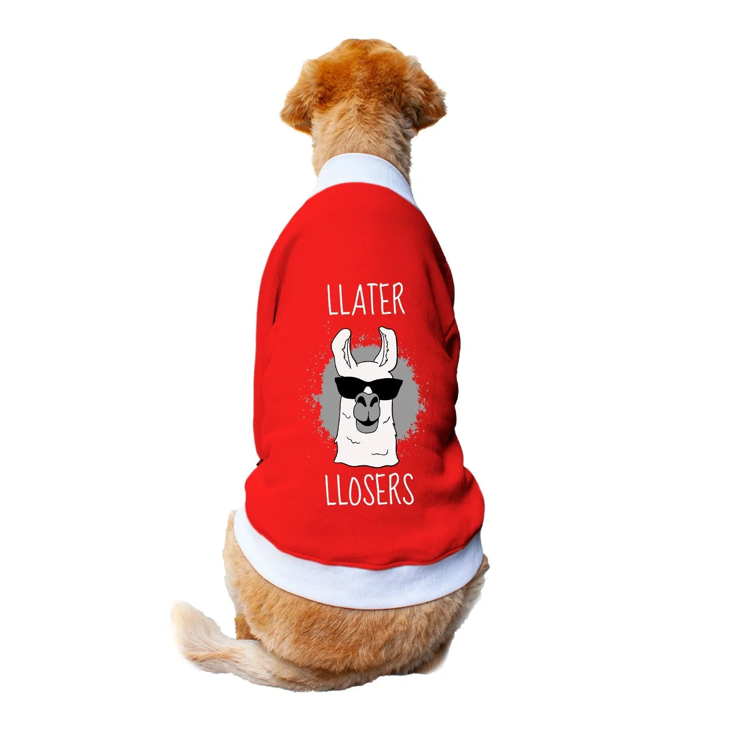 Ruse 'Basics' "Llater Llosers" Printed Crew Neck Full Sleeve Sweatshirt For Dogs