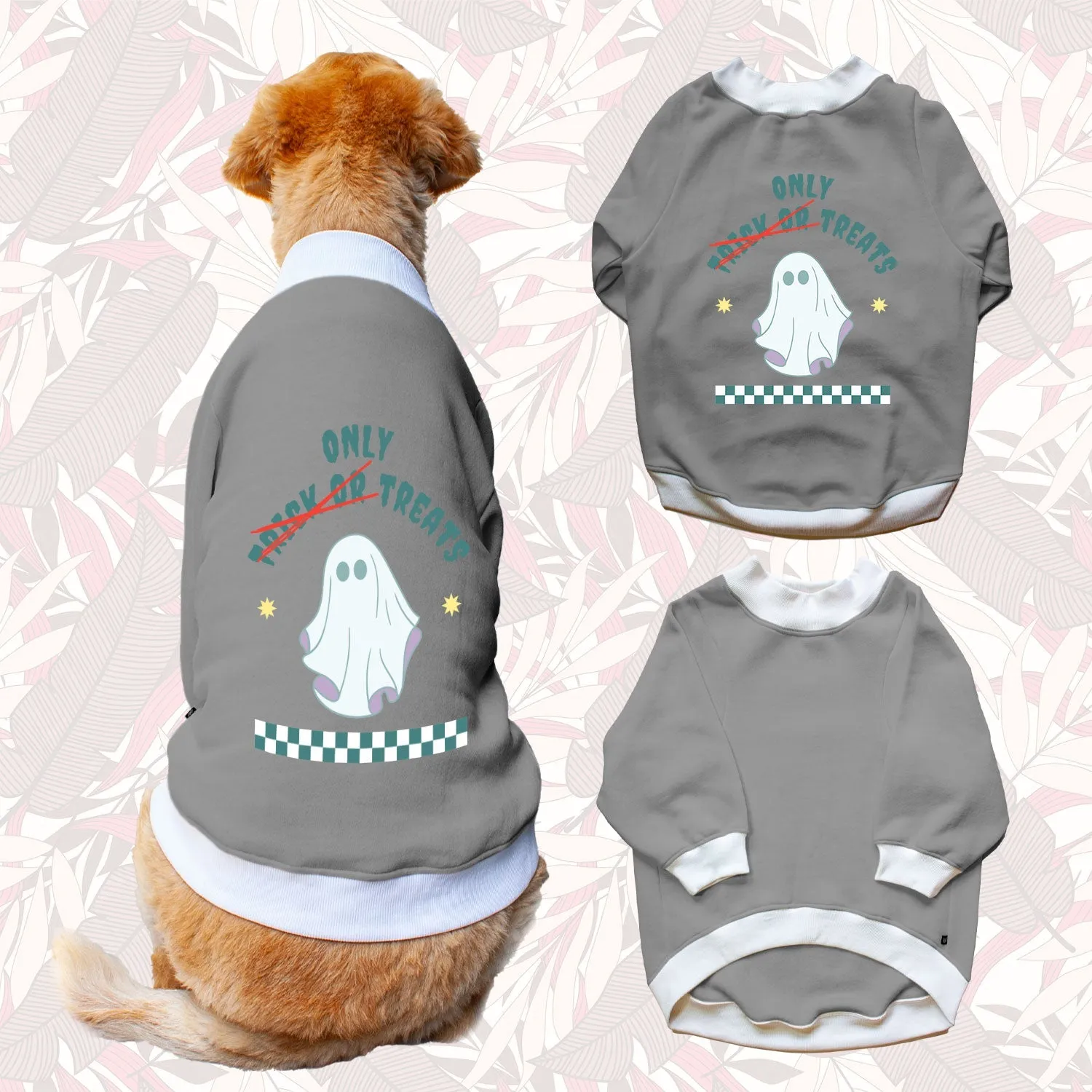 Ruse 'Basics' "Only Treats" Printed Crew Neck Full Sleeve Sweatshirt For Dogs