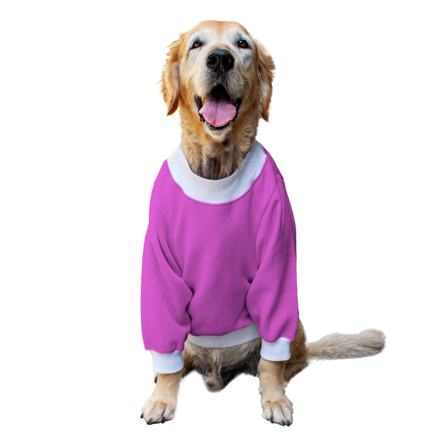 Ruse 'Basics' "Only Treats" Printed Crew Neck Full Sleeve Sweatshirt For Dogs