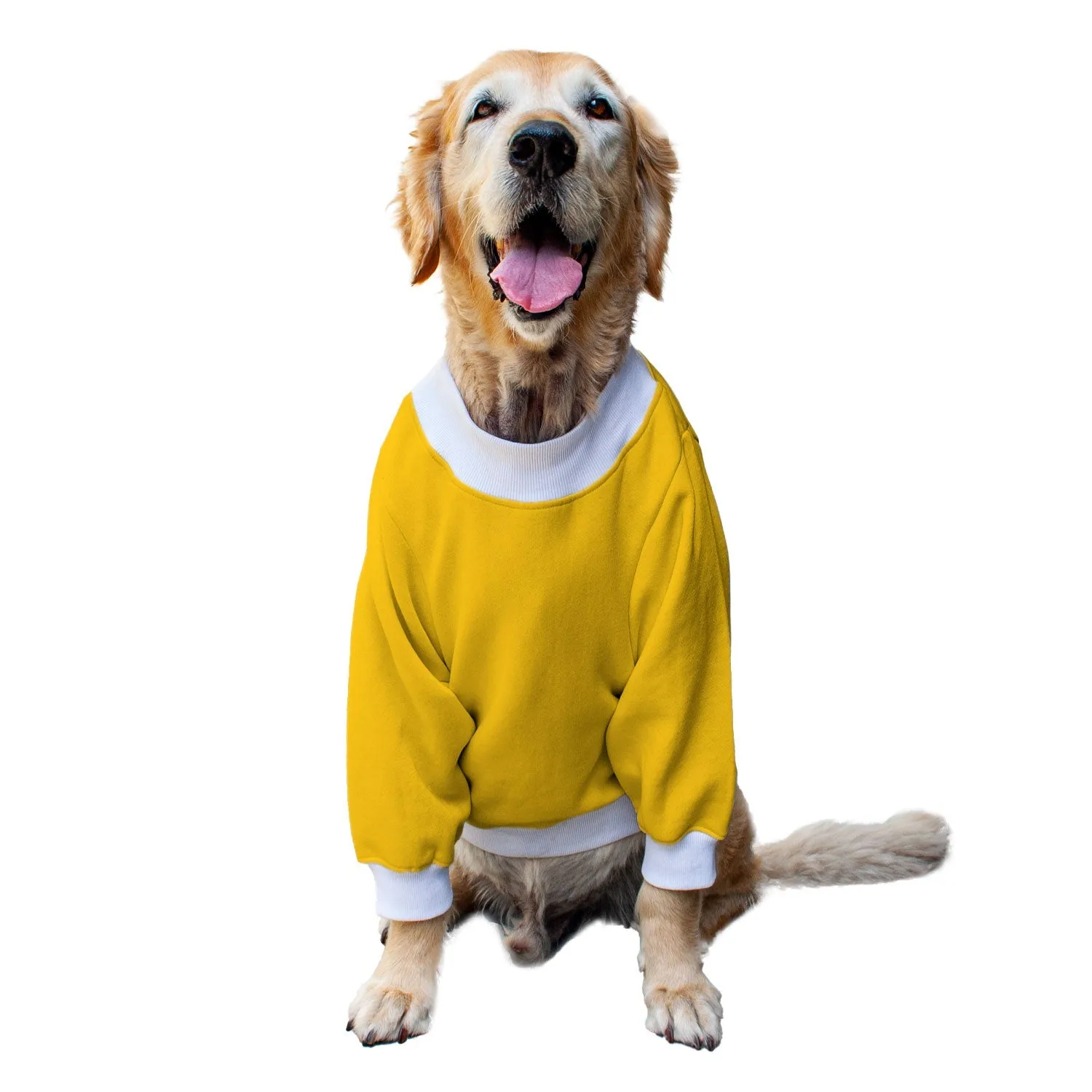 Ruse 'Basics' "Only Treats" Printed Crew Neck Full Sleeve Sweatshirt For Dogs