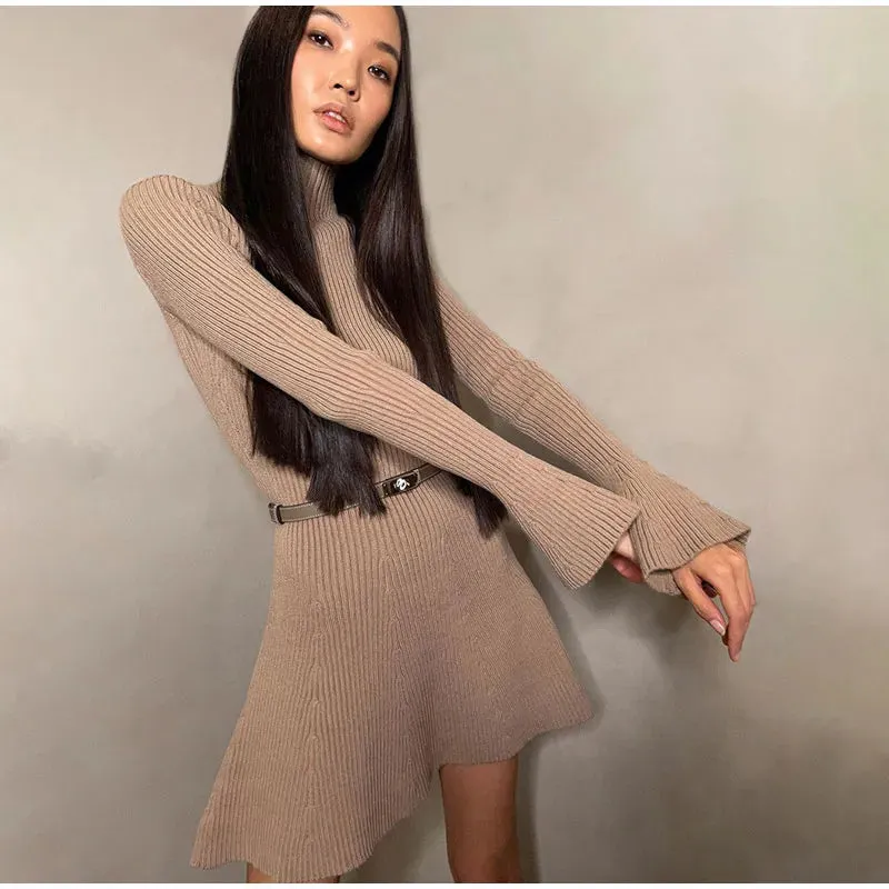 Toleet Blissful Bulwark A-Line Sweater Dress