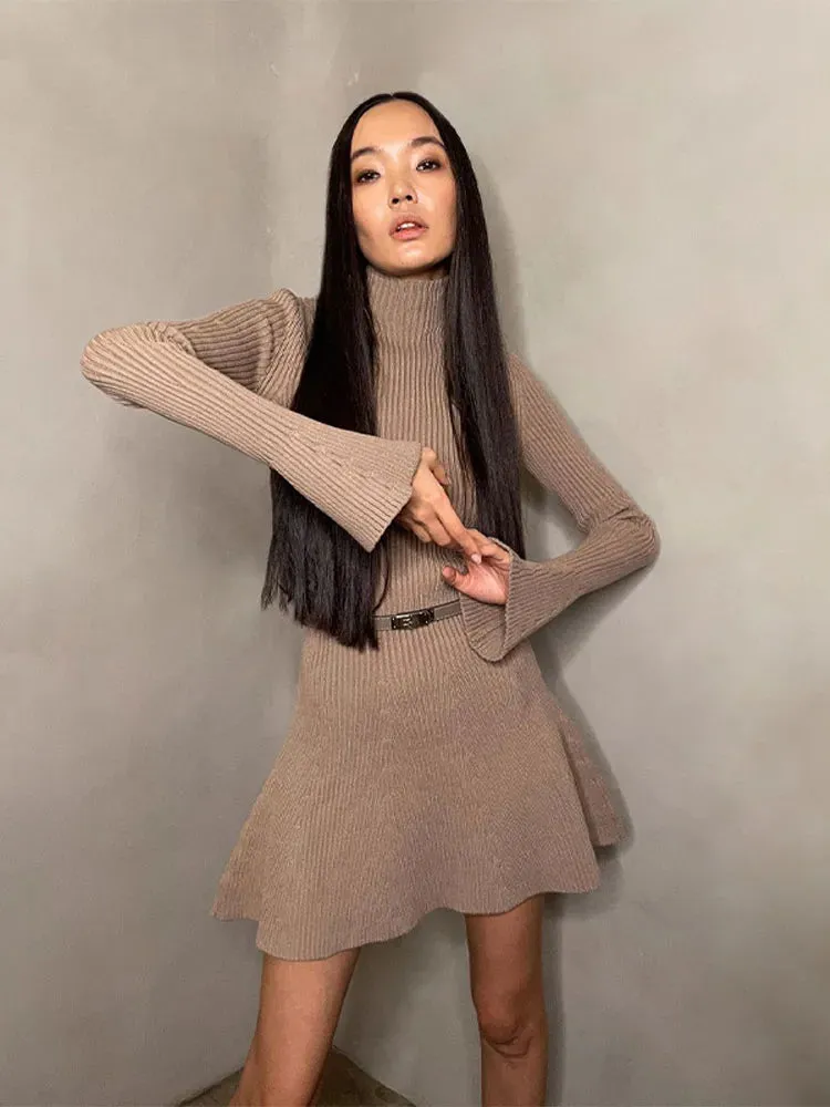 Toleet Blissful Bulwark A-Line Sweater Dress