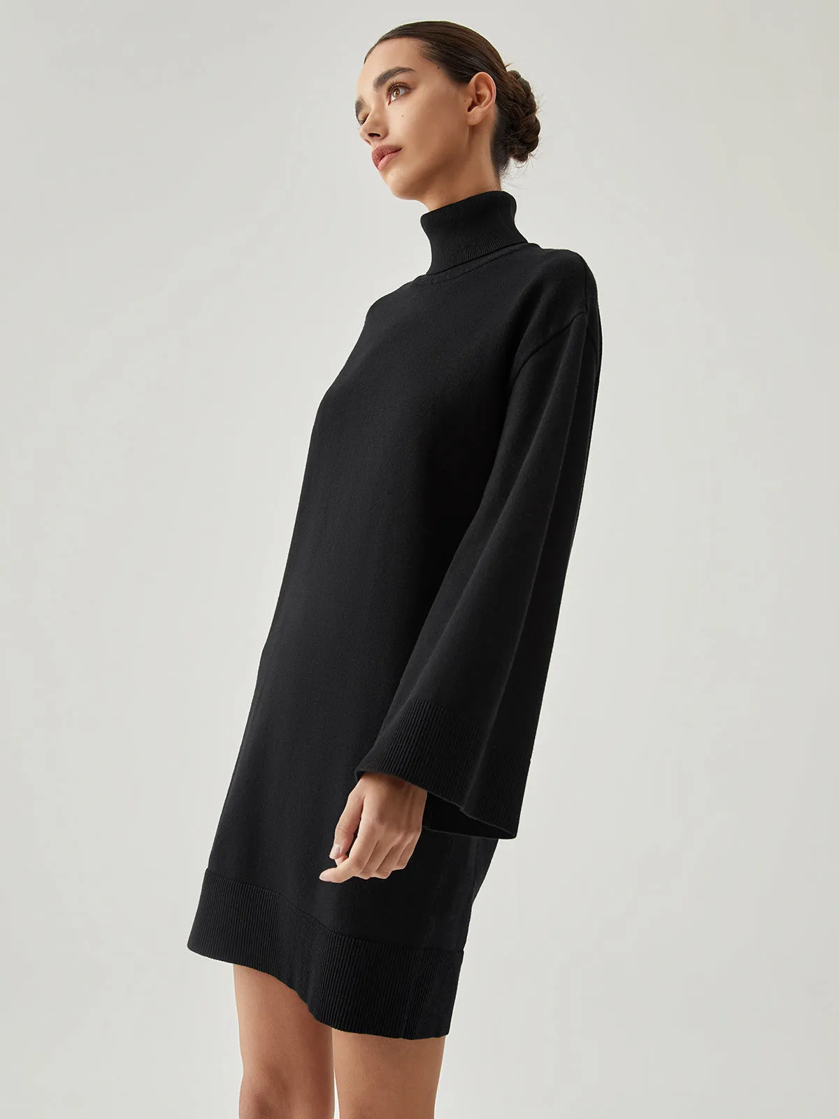 Turtleneck Long Sleeve Trendy Short Sweater Dress