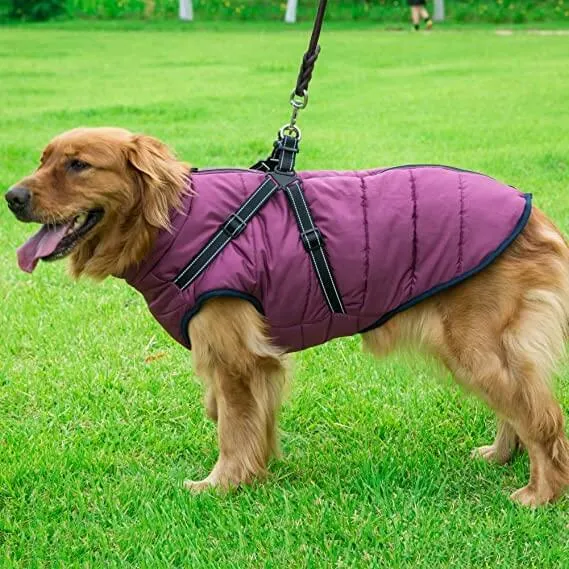 Waterproof Dog Raincoat with Harness