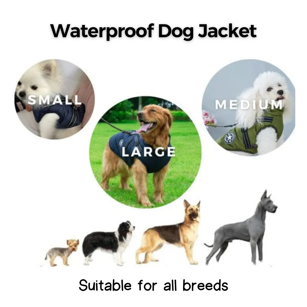 Waterproof Dog Raincoat with Harness