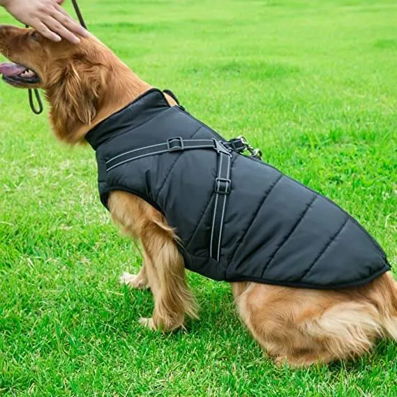 Waterproof Dog Raincoat with Harness